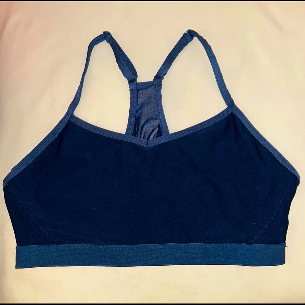 Athletics Works Blue Sports Bra